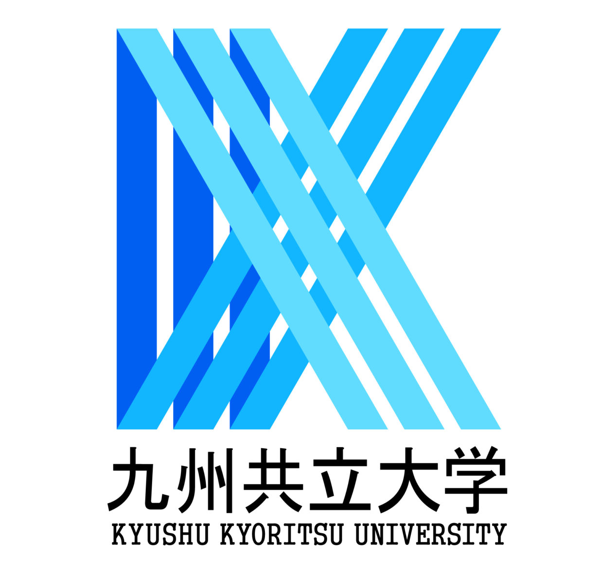九州共立大学